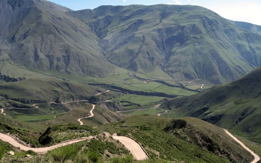 From Salta: Cachi and Los Cardones National Park Tour - Los Cardones National Park and the cactus highlands