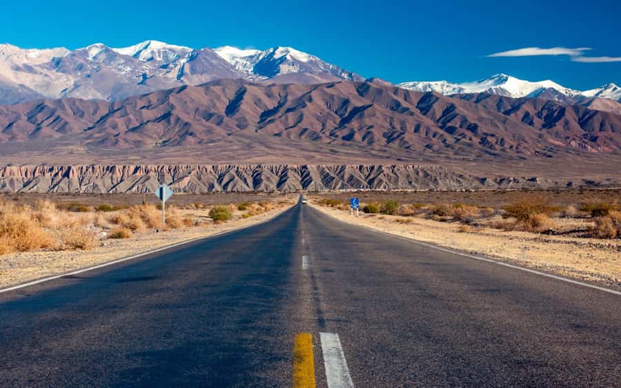 From Salta: Cachi and Los Cardones National Park Tour - Leaving Salta and climbing through Escoipe Gorge