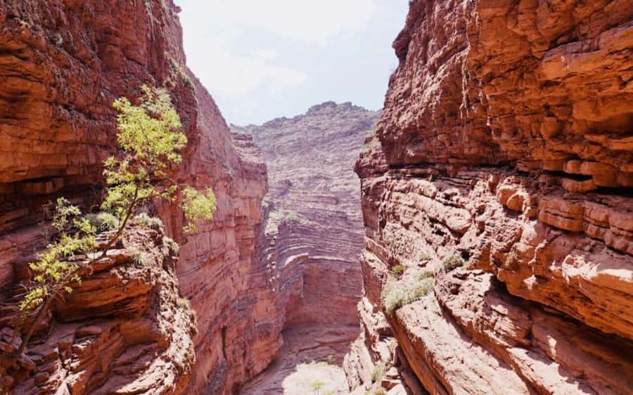 From Salta:Cafayate and the imposing Quebrada de las Conchas - Should you book the Salta to Cafayate tour?