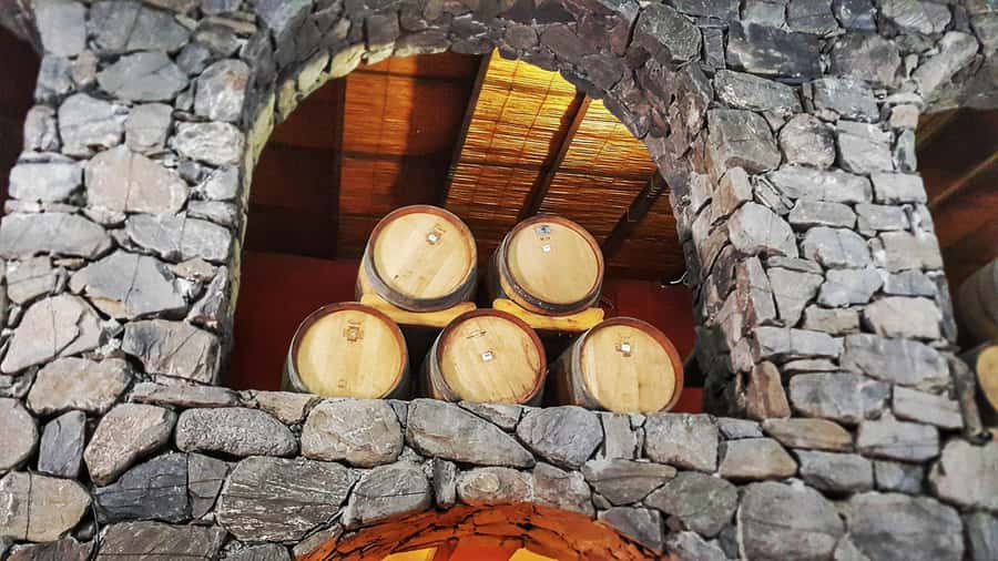 From Salta: Cafayate Day Trip with Wine Tasting - Who will enjoy this Salta day trip?