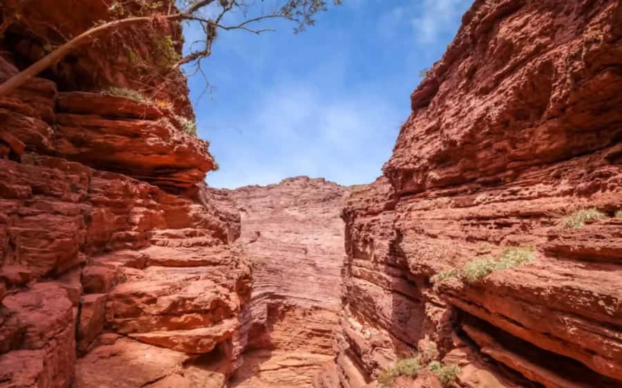 From Salta: Cafayate, land of wines and imposing ravines - Should you book it?