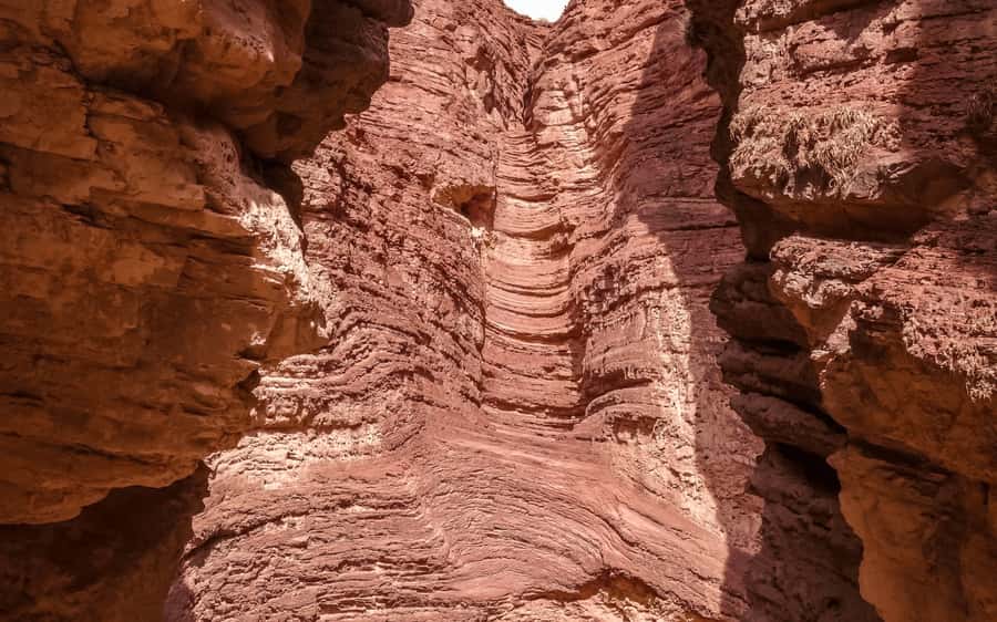 From Salta: Cafayate, land of wines and imposing ravines - The return ride and the real cost of the day