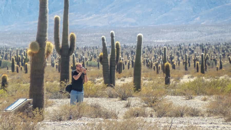From Salta: Full-Day Scenic Tour to Cachi - Should you book it?