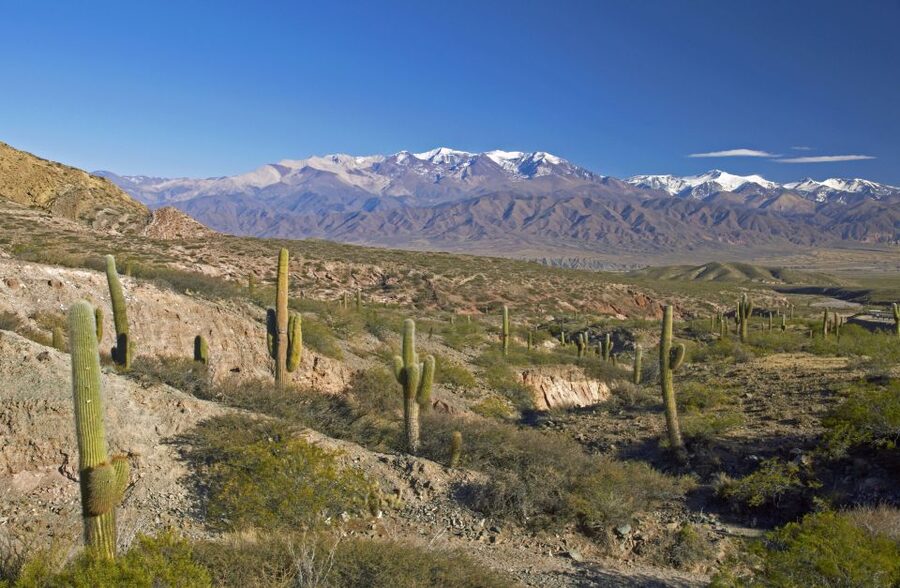 From Salta: Full-Day Scenic Tour to Cachi - Who should book this Salta to Cachi tour?