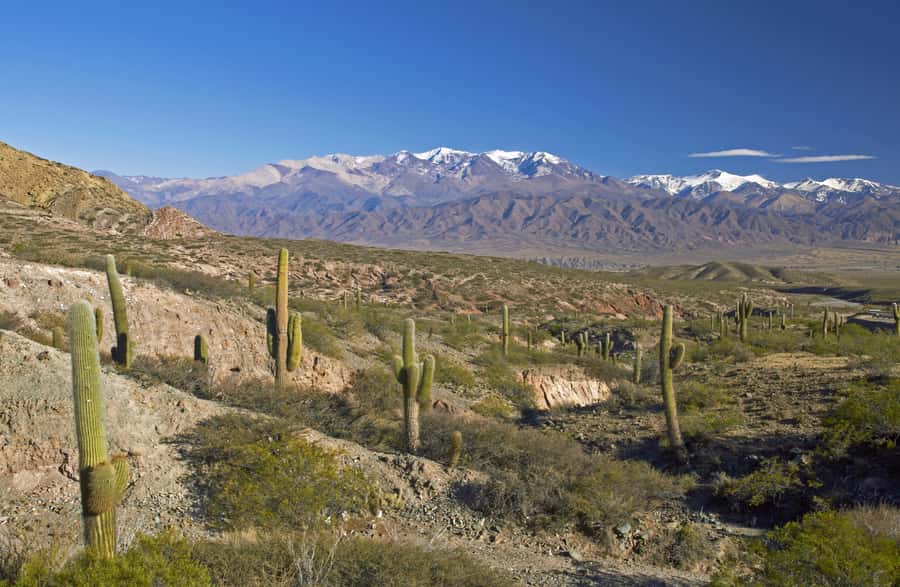 From Salta: Full-Day Scenic Tour to Cachi - Cuesta del Obispo and the climb to 3,348 meters