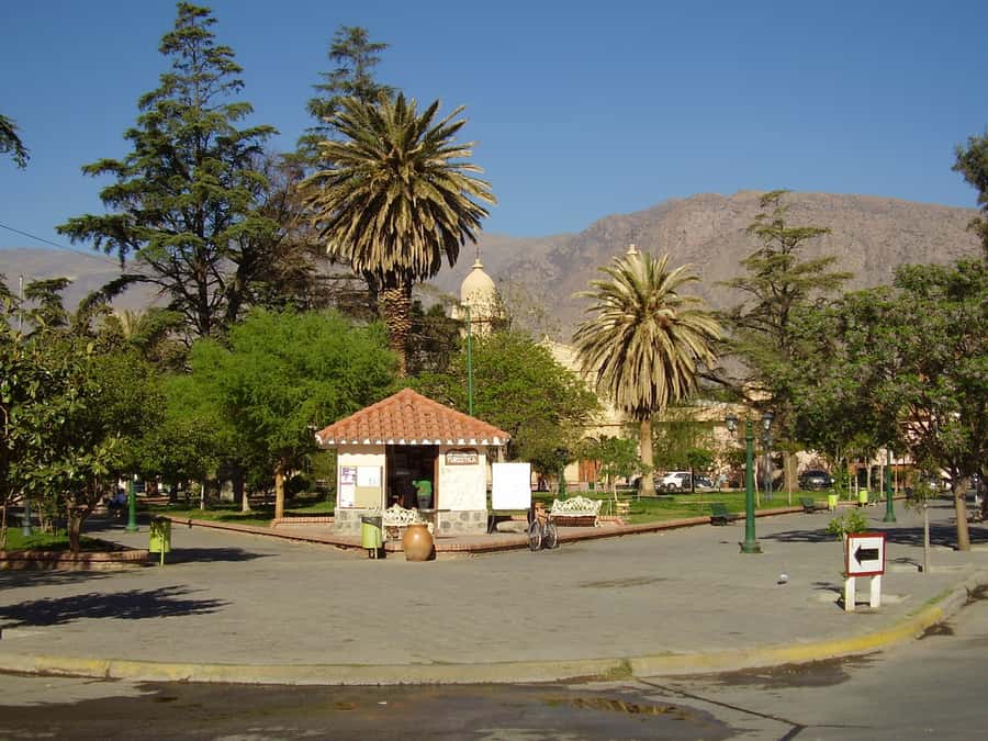 From Salta: Full-Day Tour to Cafayate with Wine Tasting - What the $29 price really covers