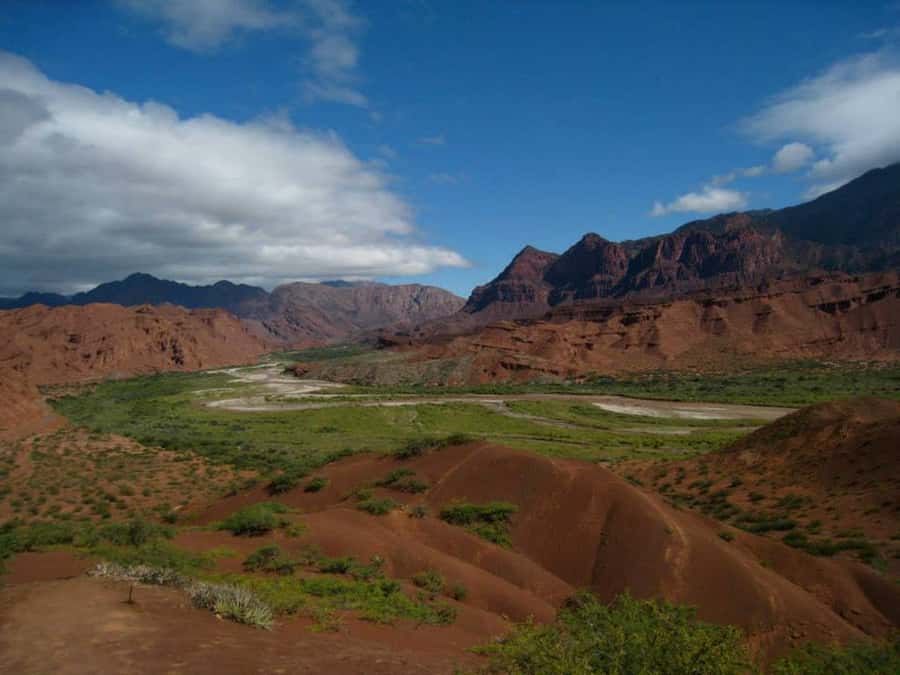 From Salta: Full-Day Tour to Cafayate with Wine Tasting - From Salta’s tobacco fields to Alemania