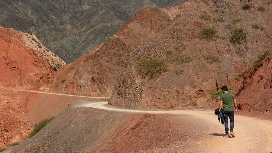 From Salta: Full-Day Trip to Salinas Grandes and Purmamarca - The Cuesta de Lipan climb