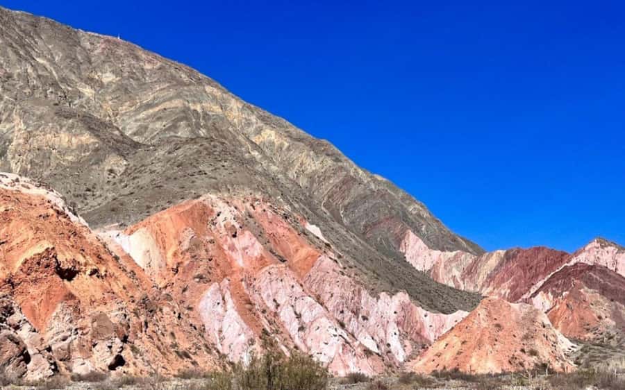 From Salta: Salinas Grandes, Purmamarca and Cuesta de Lipán - Who should book this trip?