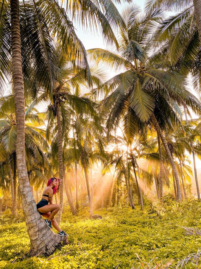 From Santa Marta: Tayrona National Park Guided Tour - Three Hours at Cabo San Juan