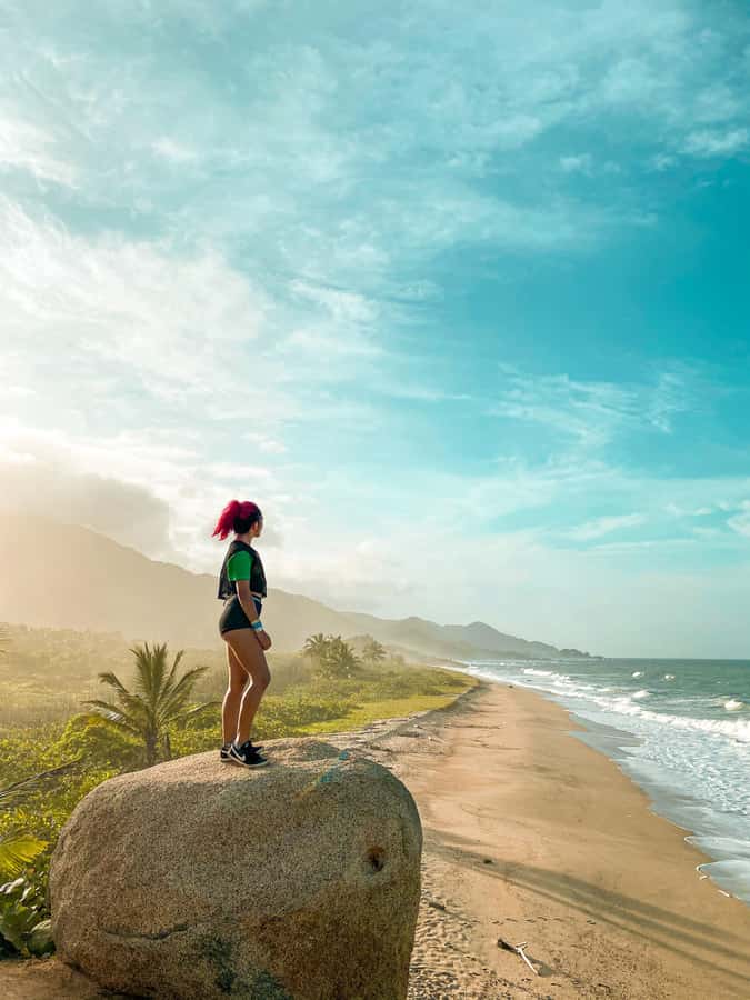 From Santa Marta: Tayrona National Park Guided Tour - The Return Walk and Long Trip Back