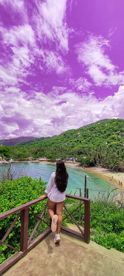 From Santa Marta: Tayrona National Park Guided Tour - Who Should Book This Tayrona Tour