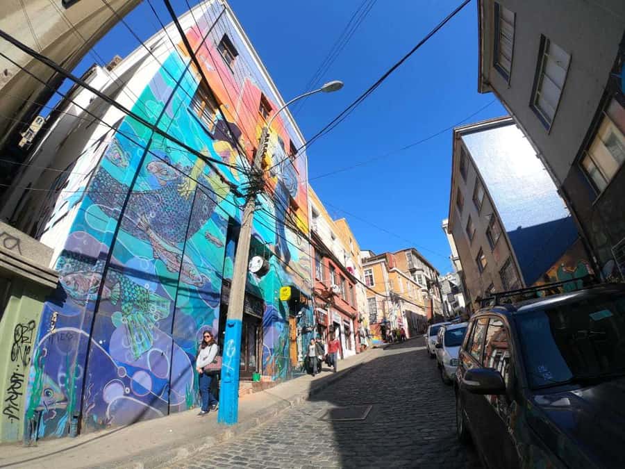 From Santiago: Highlights of Valparaiso and Viña del Mar - The funicular question