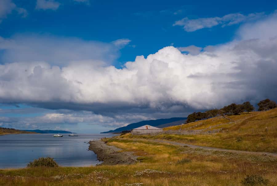 From Ushuaia: Penguin Watching Tour by Catamaran - Is $177 a fair price?