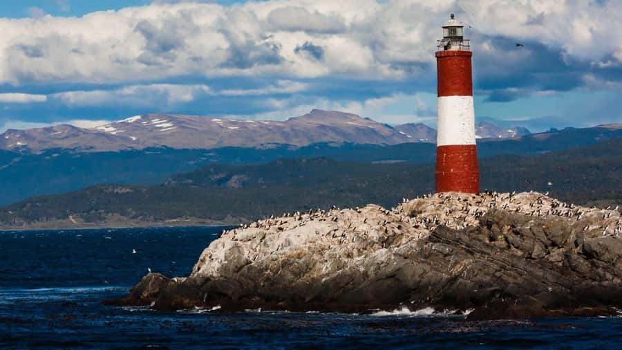 From Ushuaia: Penguin Watching Tour by Catamaran - Who should book this cruise?