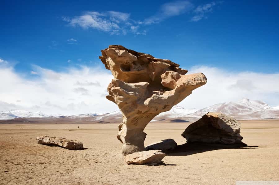 From Uyuni: Salt Flats Highlights Jeep Tour with Lunch - Fish Island and its 12-meter cacti