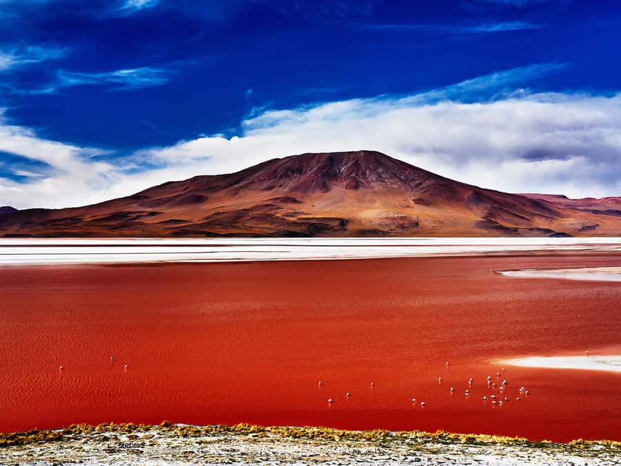 From Uyuni: Salt Flats Highlights Jeep Tour with Lunch - The salt flats, forced perspective, and endless white