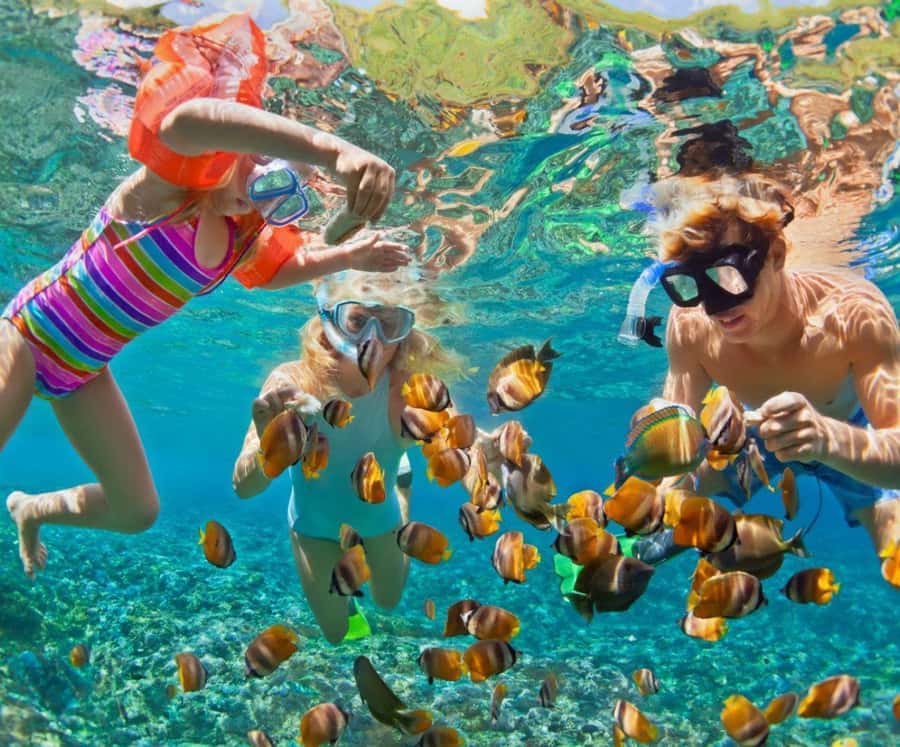 Full Day Barú island: Mangrove +Snorkel + Sunset + Plankton - From Cartagena to Freedom Beach Club in Baru