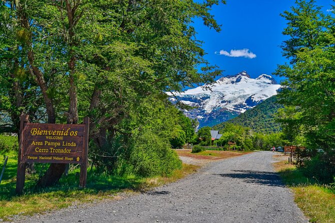 Full Day Cerro Tronador: Eternal Snow and Hanging Glaciers - The Black Glacier, a dark and changing sight