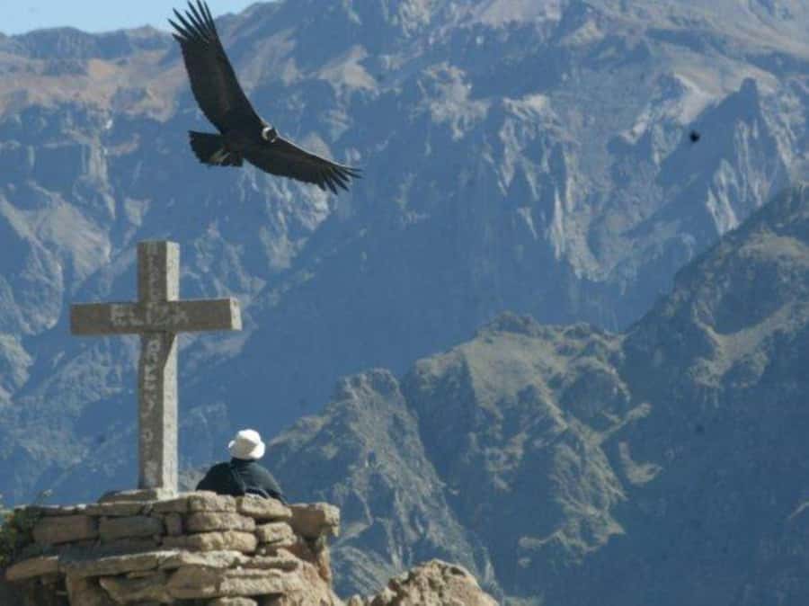 Full-Day Colca Canyon Tour from Arequipa - The 3:00 AM departure from Arequipa