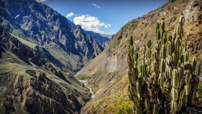 Full-Day Colca Canyon Tour from Arequipa