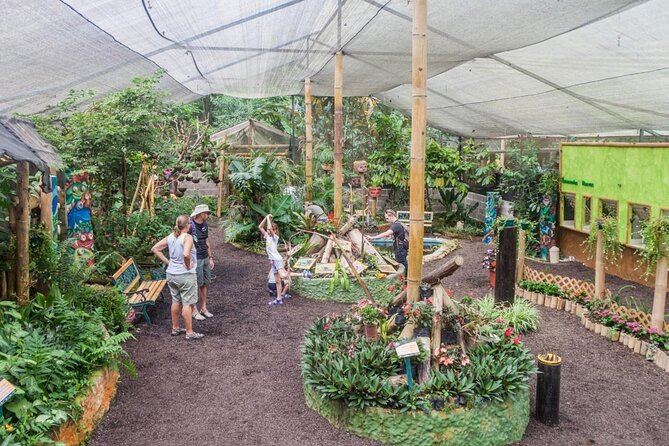 Full-Day Mindo Cloud Forest Tour Birdwatching Waterfalls and Hike - Choosing the right guide and focus