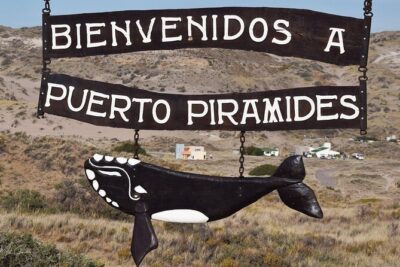 Full Day Peninsula Valdes Experience – optional Whale Watching