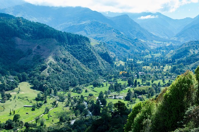 Full-Day Private Coffee Tour in Cocora Valley and Salento - Coffee farming at Finca Buenos Aires