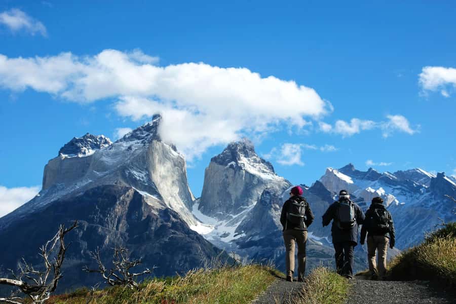 Full-Day Torres del Paine National Park from El Calafate - Key points at a glance