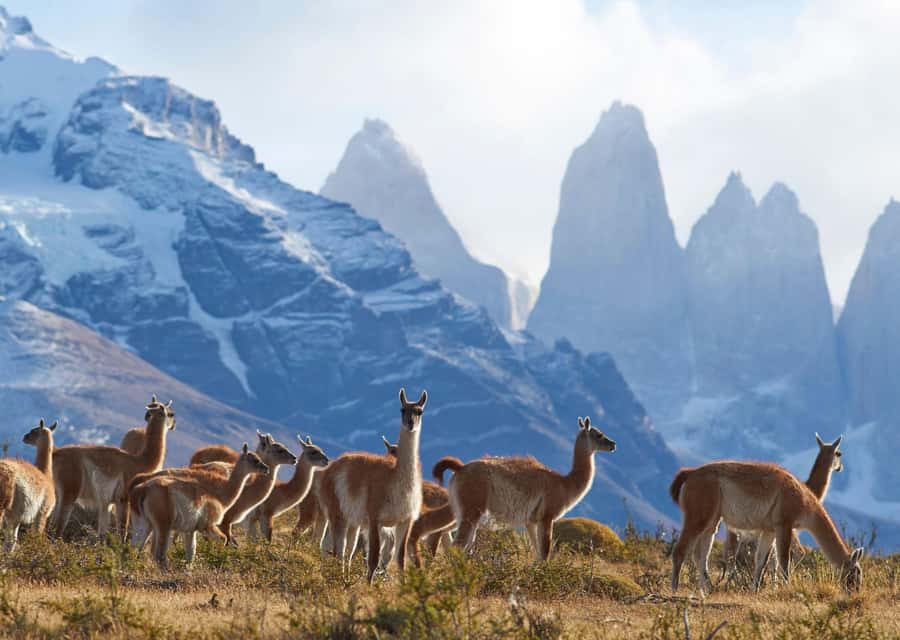 Full-Day Torres del Paine National Park from El Calafate - Cerro Castillo and the Chilean border