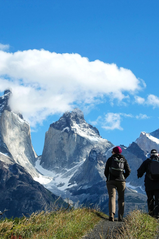 Full-Day Torres del Paine National Park from El Calafate - What the Overland Truck is really like