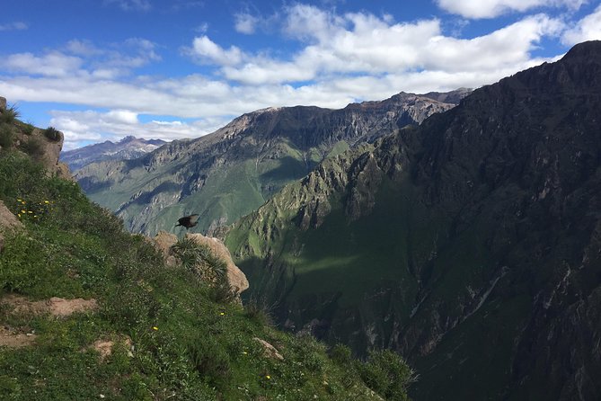 Full Day Tour / Colca Canyon - The 3:30 a.m. start from Arequipa