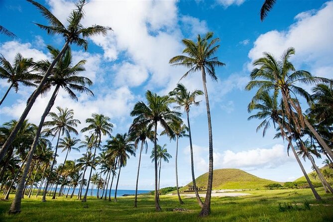 Full day tour - DREAM - Akahanga shows a village beside a small bay