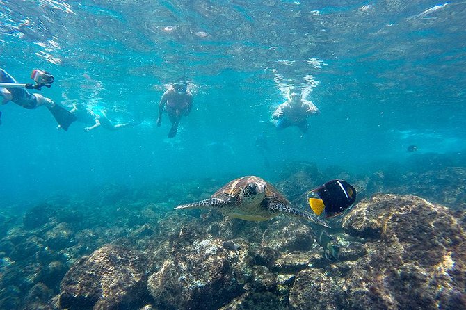 Full Day Tour Pinzon Island + La Fe/Las Palmas - Snorkeling & Fishing - Leaving Puerto Ayora at 8:00 a.m.
