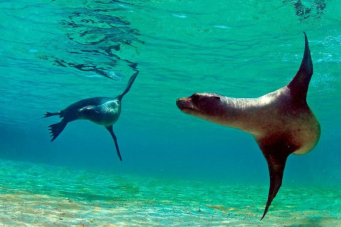 Full Day Tour Pinzon Island + La Fe/Las Palmas - Snorkeling & Fishing - Who will enjoy this outing most