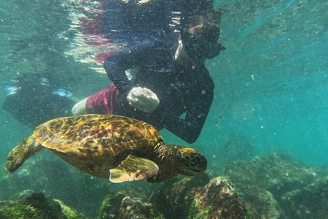 Full Day Tour Pinzon Island + La Fe/Las Palmas - Snorkeling & Fishing - The boat ride to the first snorkel site