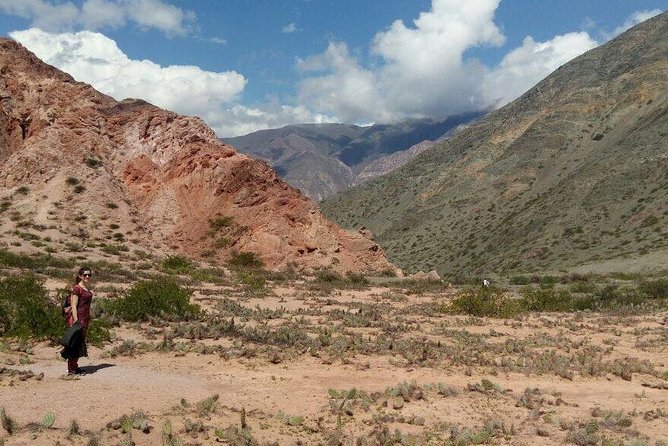 Full-Day Tour Salinas Grandes and Purmamarca from Salta - Guide language and group size