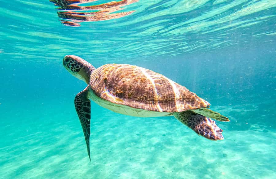 Full-Day Tour to Angra dos Reis and Ilha Grande - What the boat portion is really like