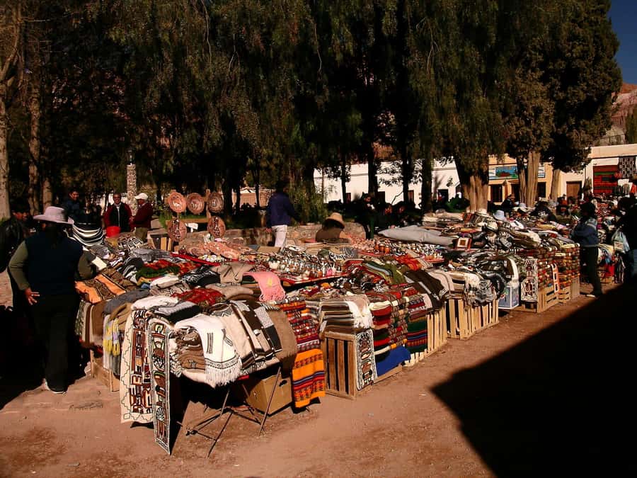 Full-Day Tour to Humahuaca from Salta - Transport, comfort, and the 13-hour schedule