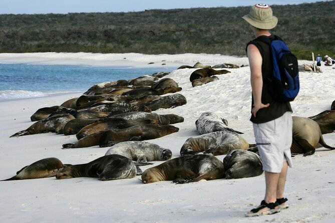 Galapagos Intensive 5 days, land base (3Islands) Excludes galapagos flight - Day 5: Twin Craters and the airport transfer