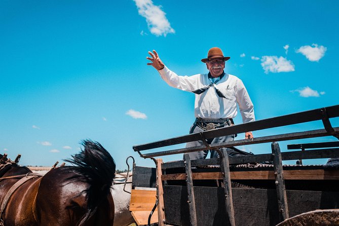 Gaucho Day Trip from Buenos Aires: Santa Susana Ranch - Carriage rides, horses, and open farmland