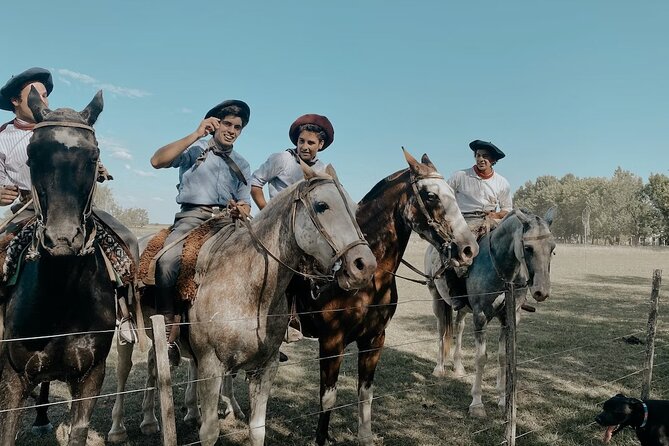 Gaucho Experience: A Day Trip to Don Silvano Ranch - Horseback riding for beginners, not serious riders