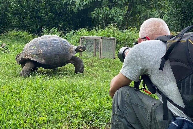 Giant Turtle Watching and Lava Tunnels Tour - Practical details for a smoother visit