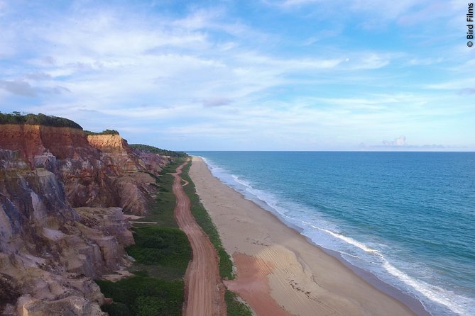 Gunga Beach - Leaving Maceió by WS Receptivo - Why Praia do Gunga Works as a Full-Day Outing