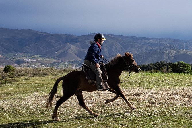 Half day Horseback Riding tour around Sacsayhuaman park - Why this ride offers a different view of Cusco