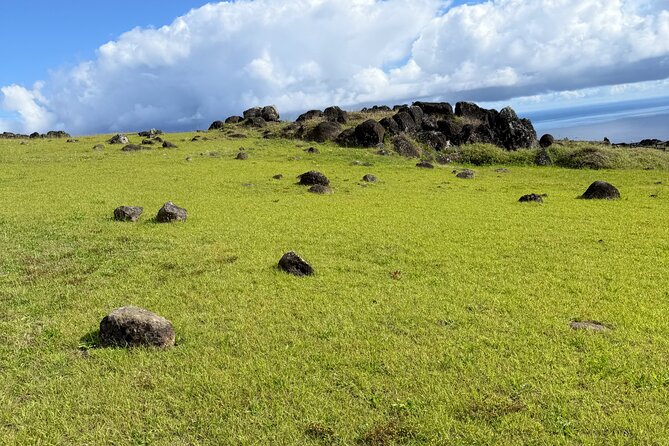 Half Day Tour in Rapa Nui - Orongo and the Birdman competition