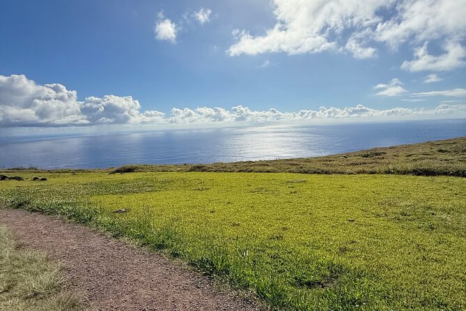 Half Day Tour in Rapa Nui - What Nico adds to the experience