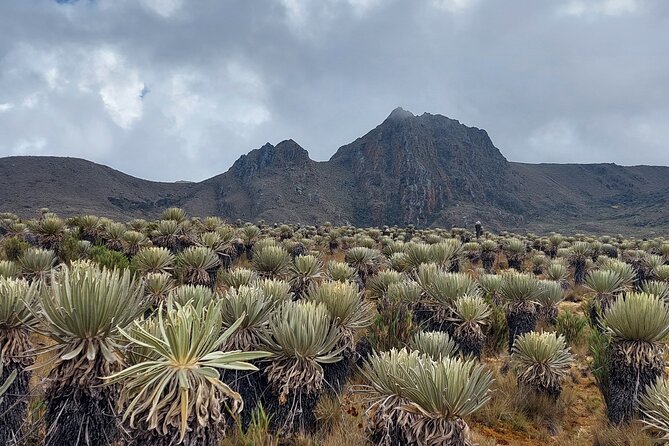 Hiking to the largest paramo on earth : Sumapaz - The 7:30 am start and drive from Bogotá
