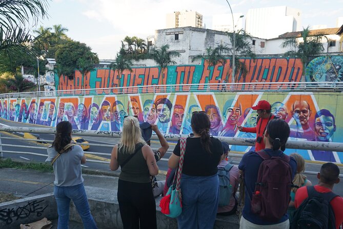 Historical Shared Tour Salsa, Graffiti & Resistance in Cali - Parque de las Piedras and the social side of salsa