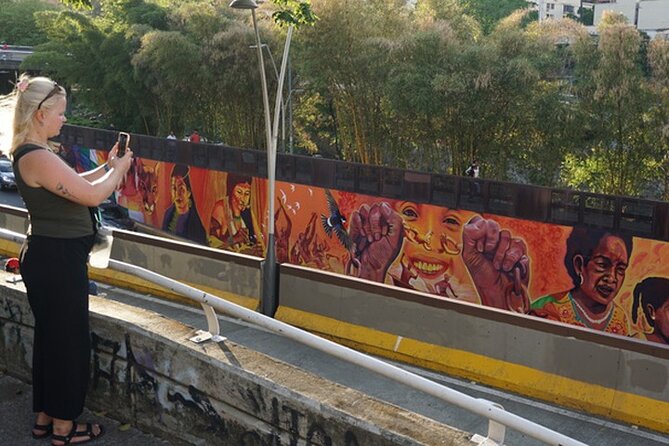Historical Shared Tour Salsa, Graffiti & Resistance in Cali - Fine arts, public culture, and the city center